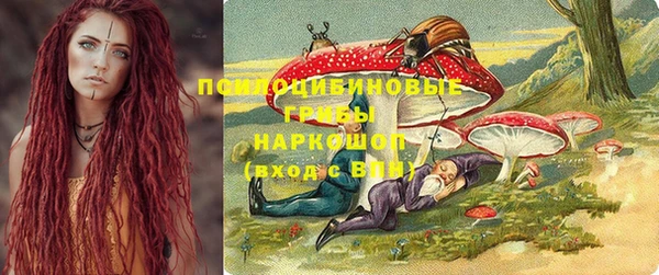 сатива Навашино