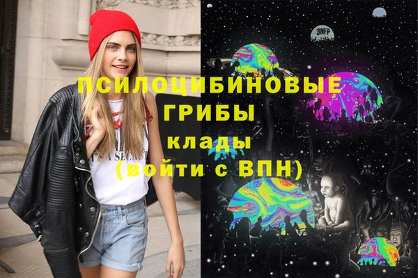 сатива Навашино