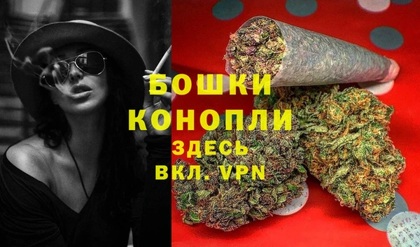 сатива Навашино