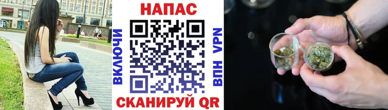 купить   Шатура  Бошки Шишки план 